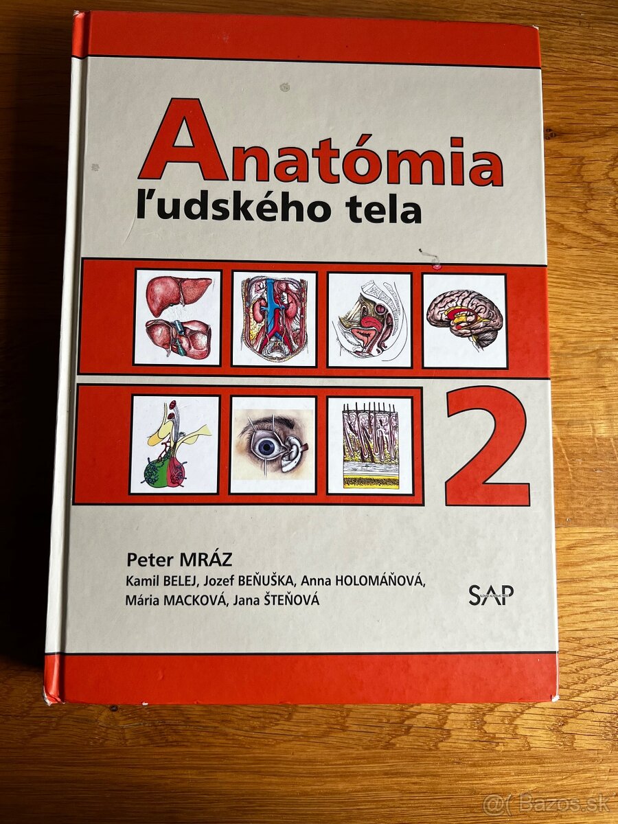 Anatómia ľudského tela- 2.časť, Mráz