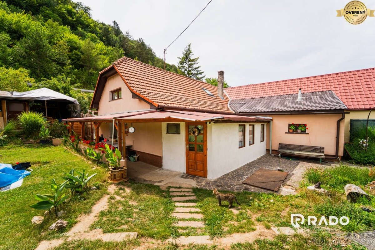 Bzince pod Javorinou