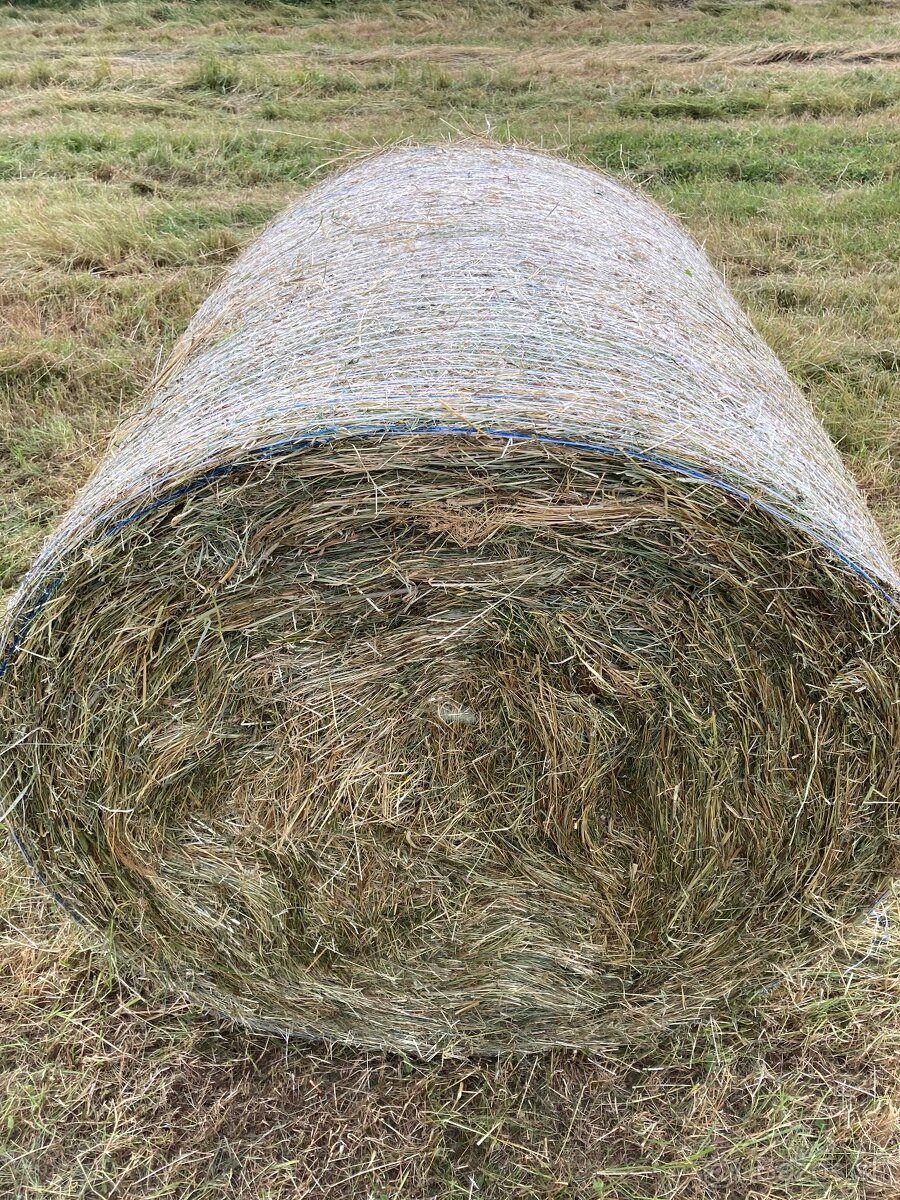 Seno, senáž