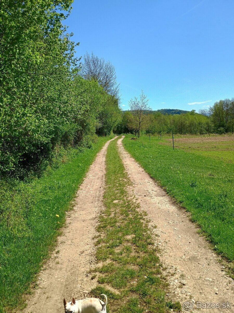 Pozemok Horná Breznica