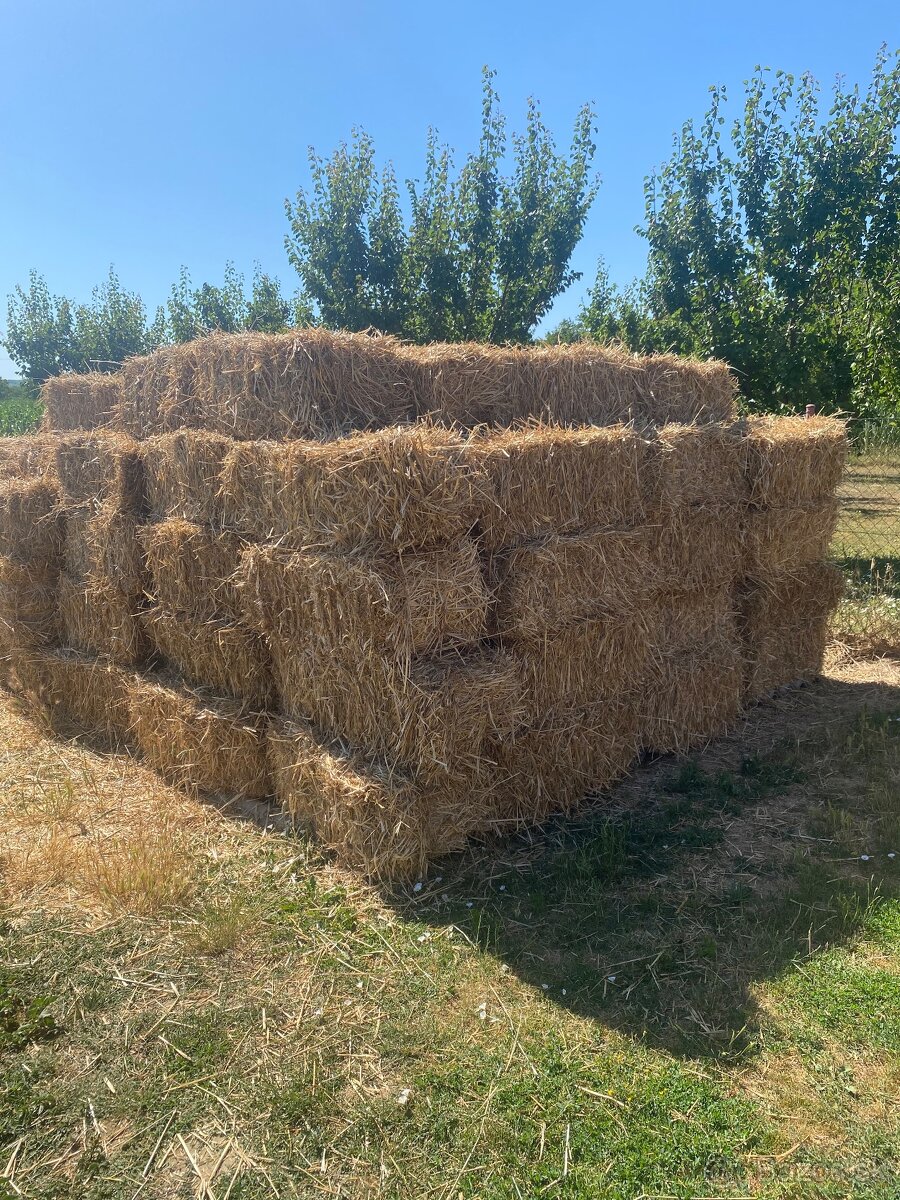 Pšeničná slama
