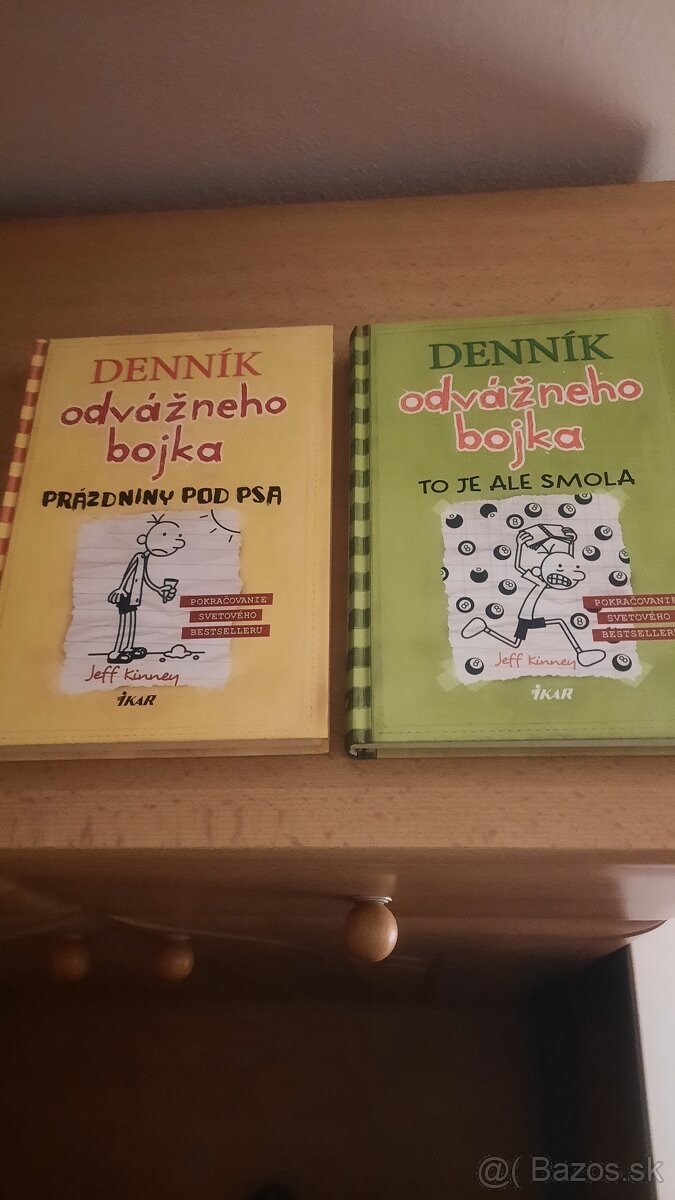 Denník odvážneho bojka