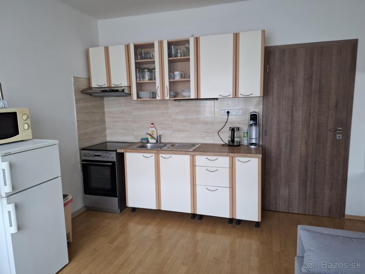 Novinka:1.izbový byt po rekonštrukcii v Holíči-len u nás