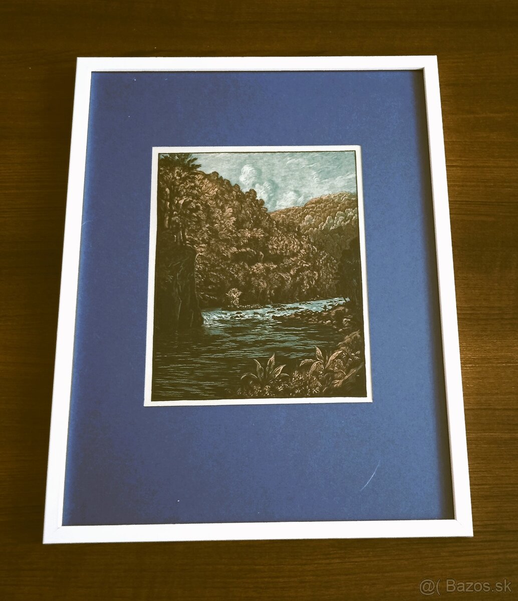 Karel Vik, drevoryty 6