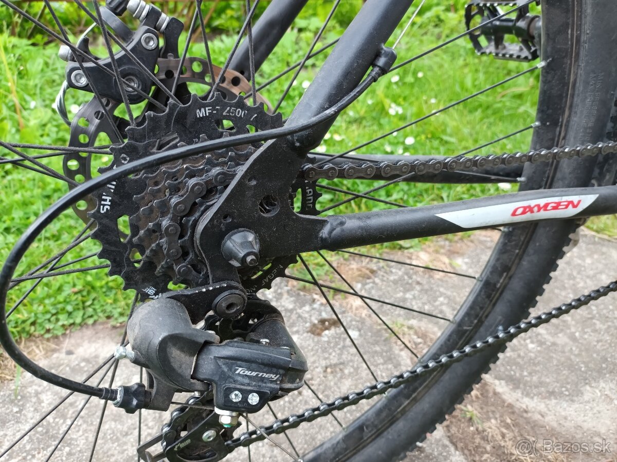 Capriolo 29"