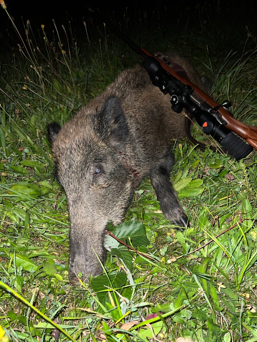 Slovenský kopov