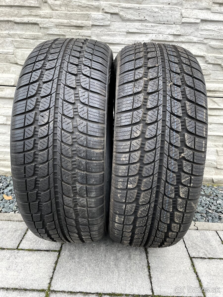 225/55 R18 SUNNY SnowMaster zimne