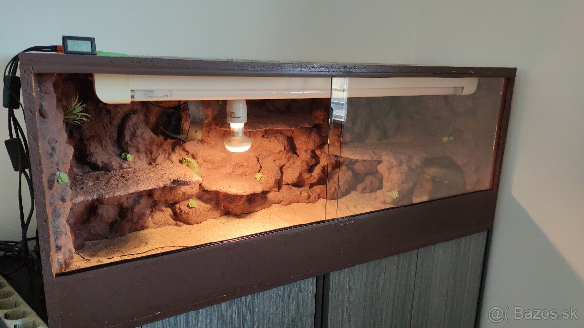terarium
