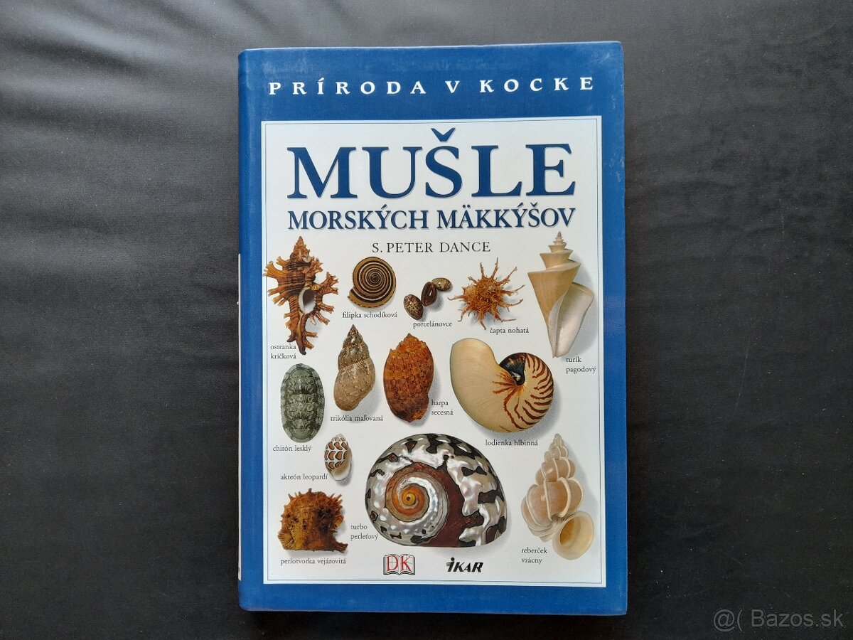 Mušle morských mäkkýšov