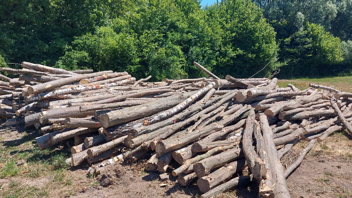 Predám hrabovú a bukovú vlákninu na palivové drevo