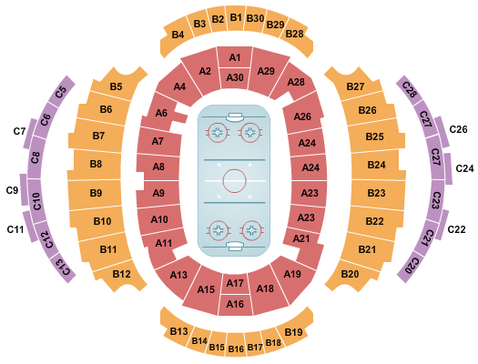 IIHF 2025 final game