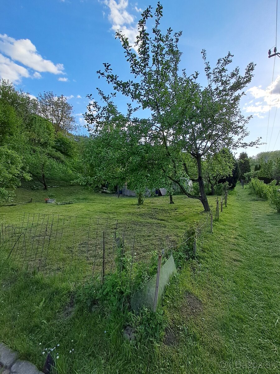 Záhrada