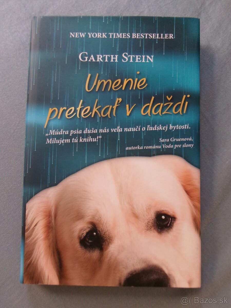 Umenie pretekať v daždi - Garth Stein.