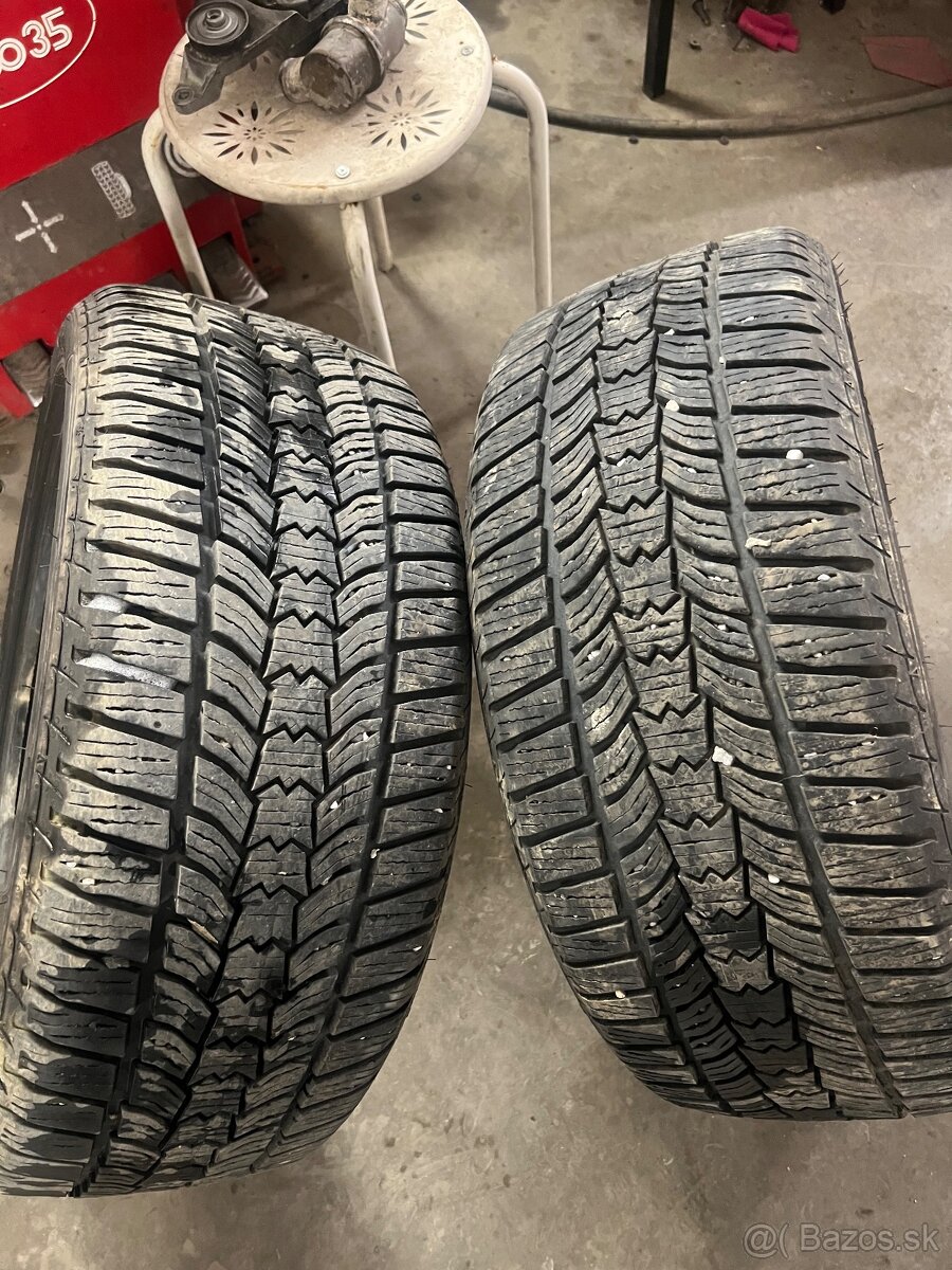 225/45 R17 zimné