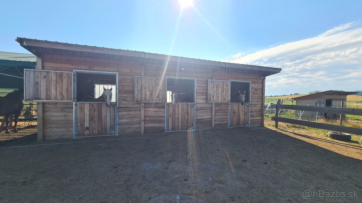 Boxy pre kone