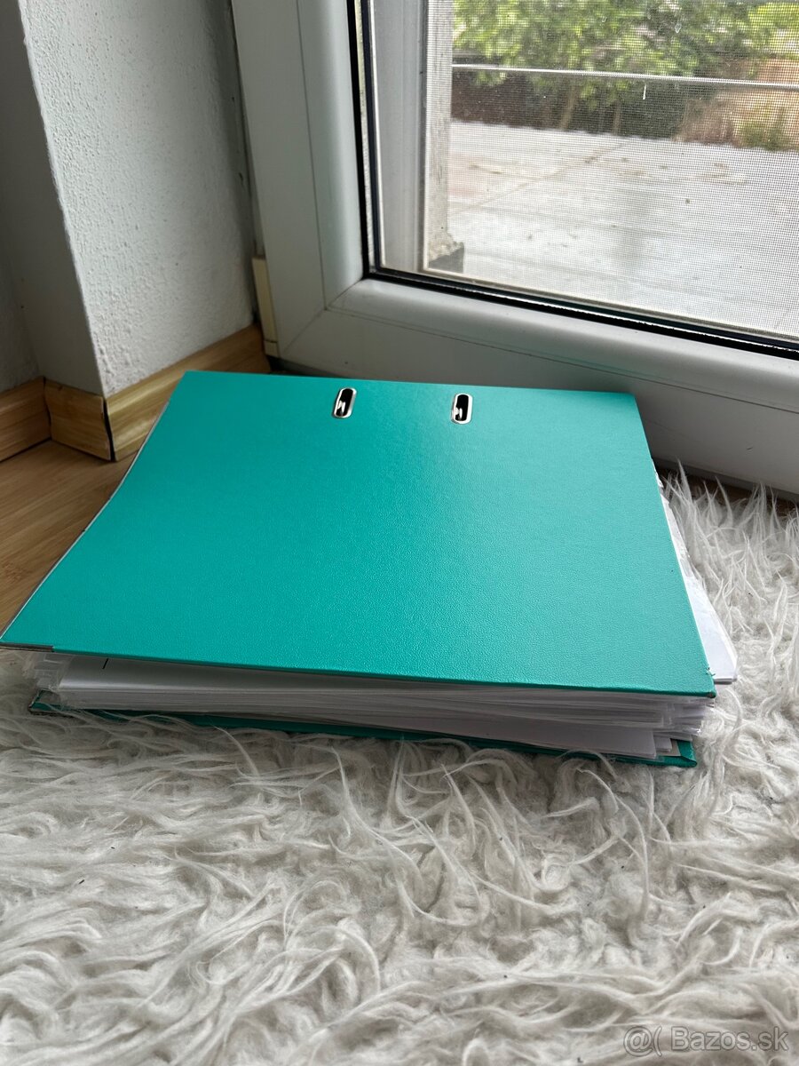 Maturitné témy SJL/LIT