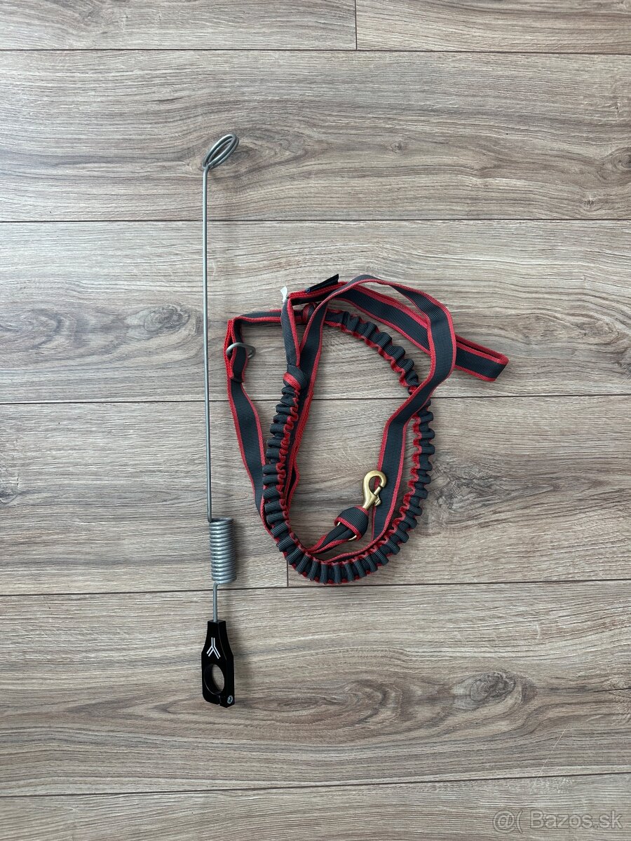 Bikejöring, Scooter