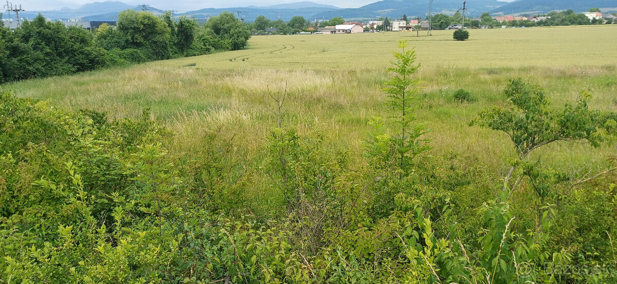 Pozemok na komerčné účely v Beluši.