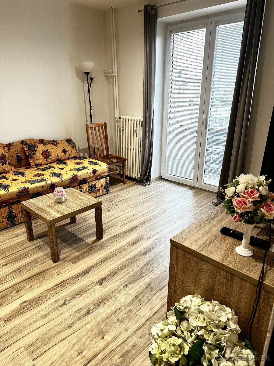 Prenájom 1 izbový byt