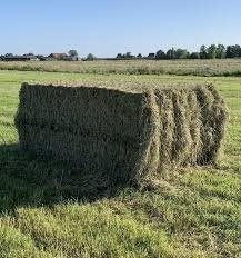 Predám seno hranaté balíky. Rozmer balíka je 120x90x200.