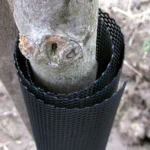 predám ochranu stromov