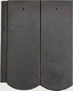 BRAMAC Reviva Protector EČ 1/1