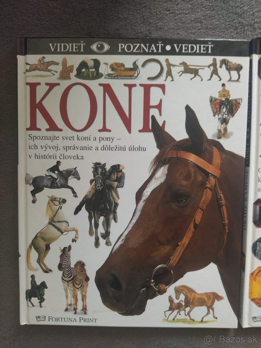 Kone - Vidieť, poznať, vedieť
