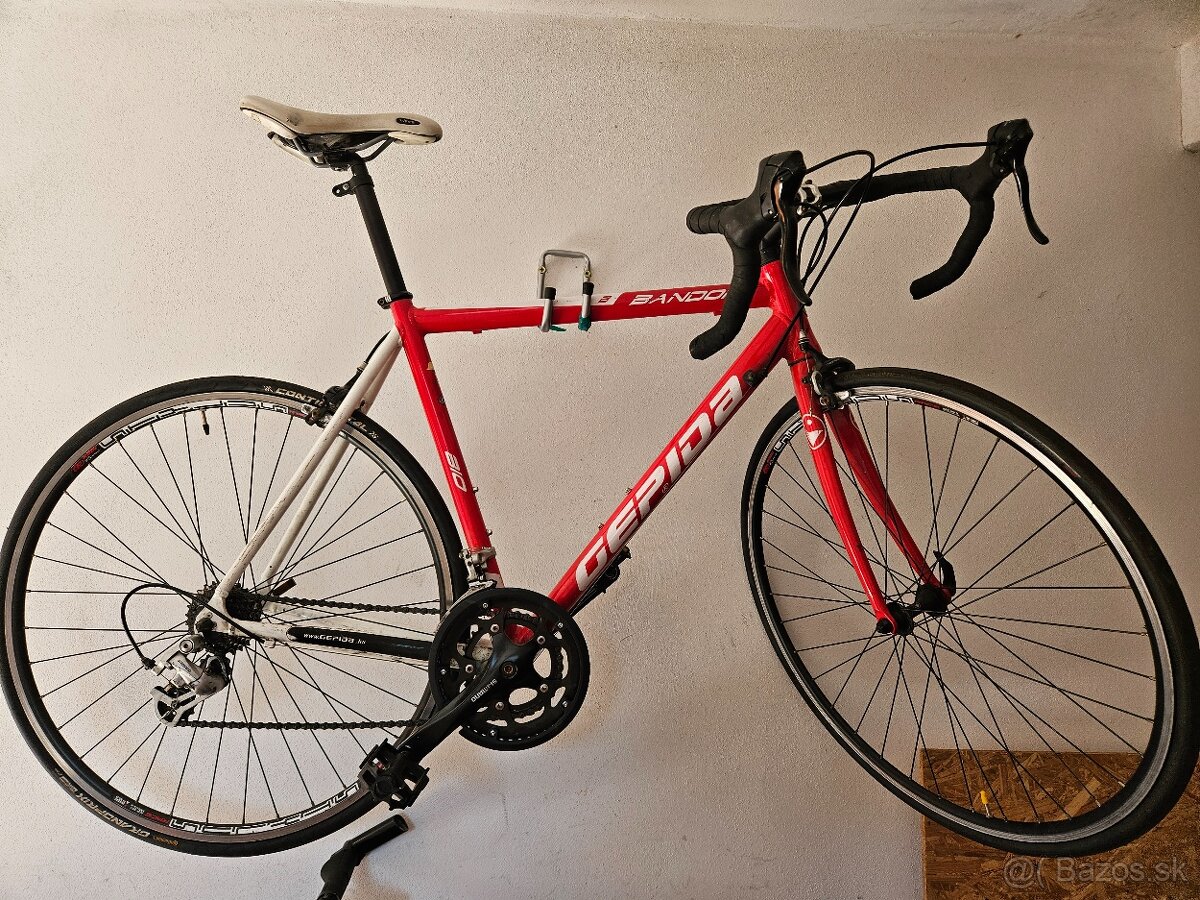 Cestný bicykel Gepida