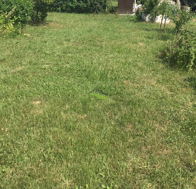 Pekných 1300 m2 pre Rodinný dom - priamo v Michalovciach
