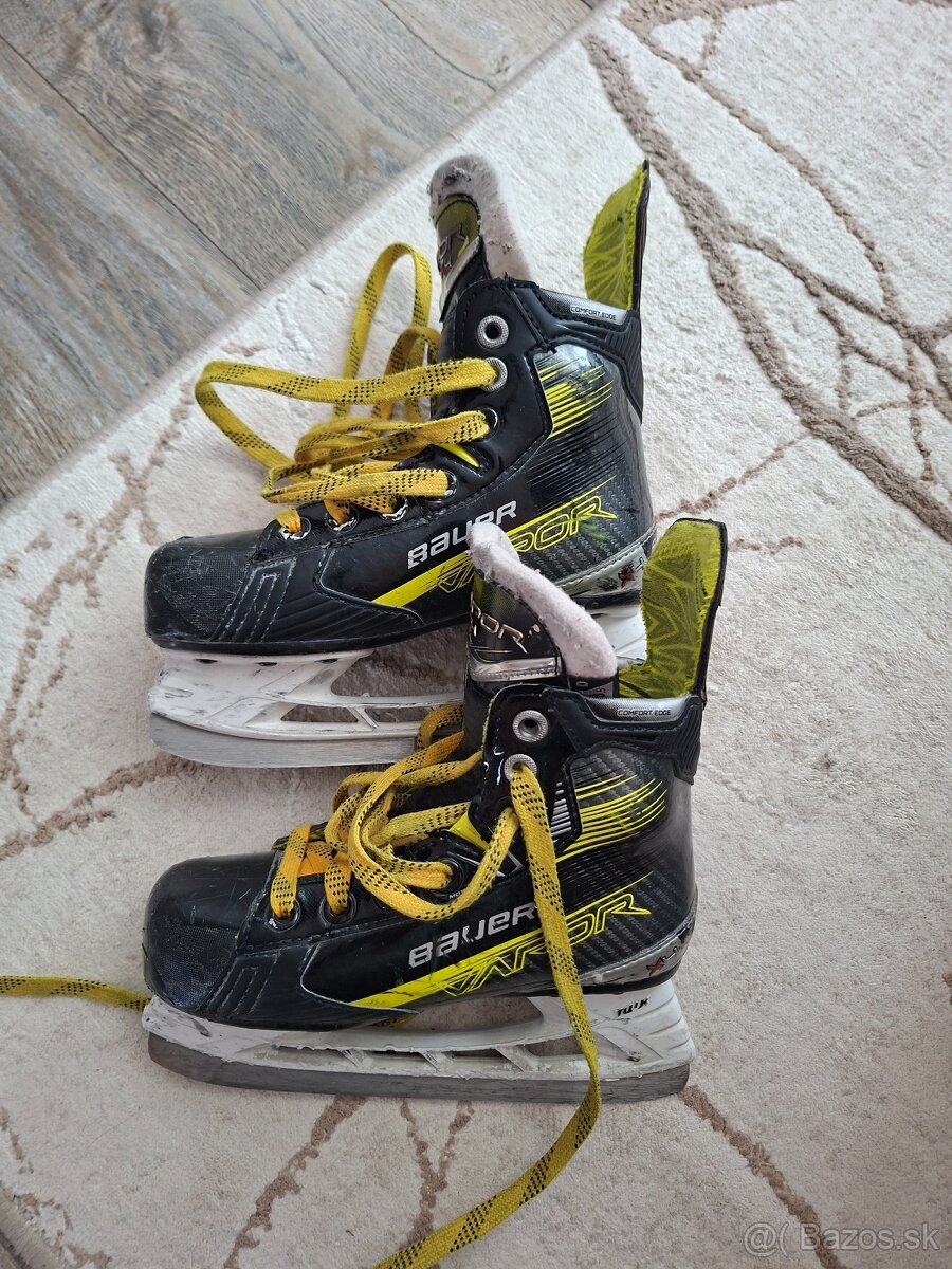 Korcule bauer vapor x4