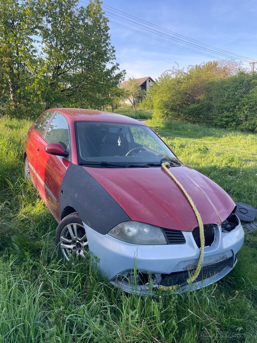 Seat Ibiza 6l
