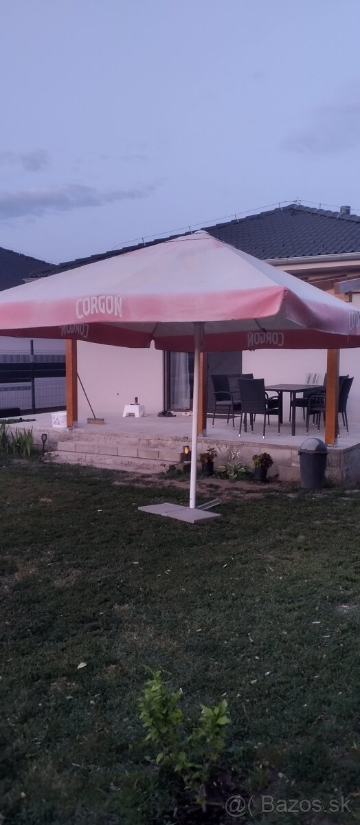 Pivarensky slnečník