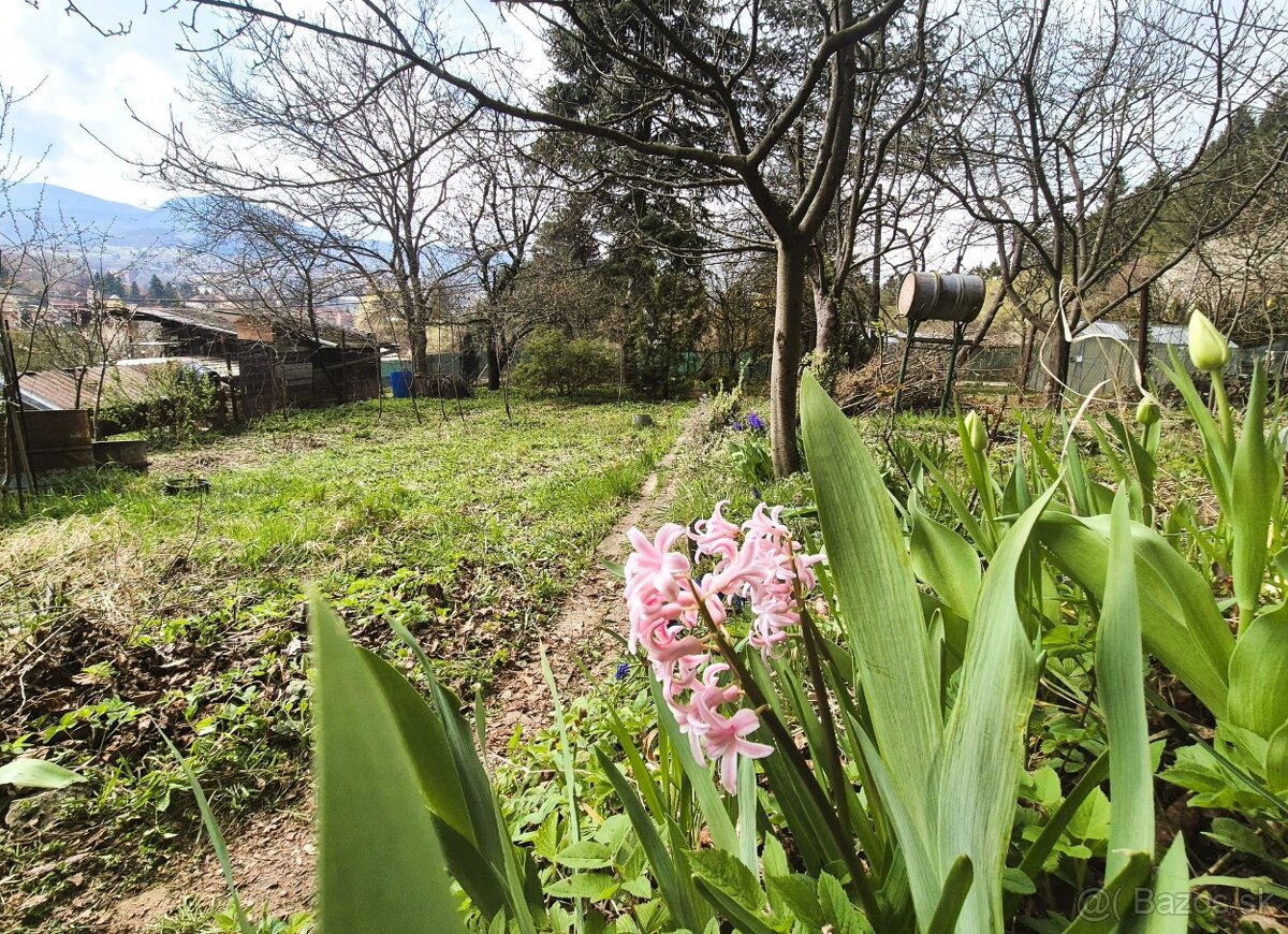 Predaj// záhrada nad kúpaliskom Handlová// 501 m²