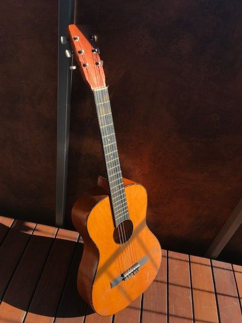 Predam Gitaru