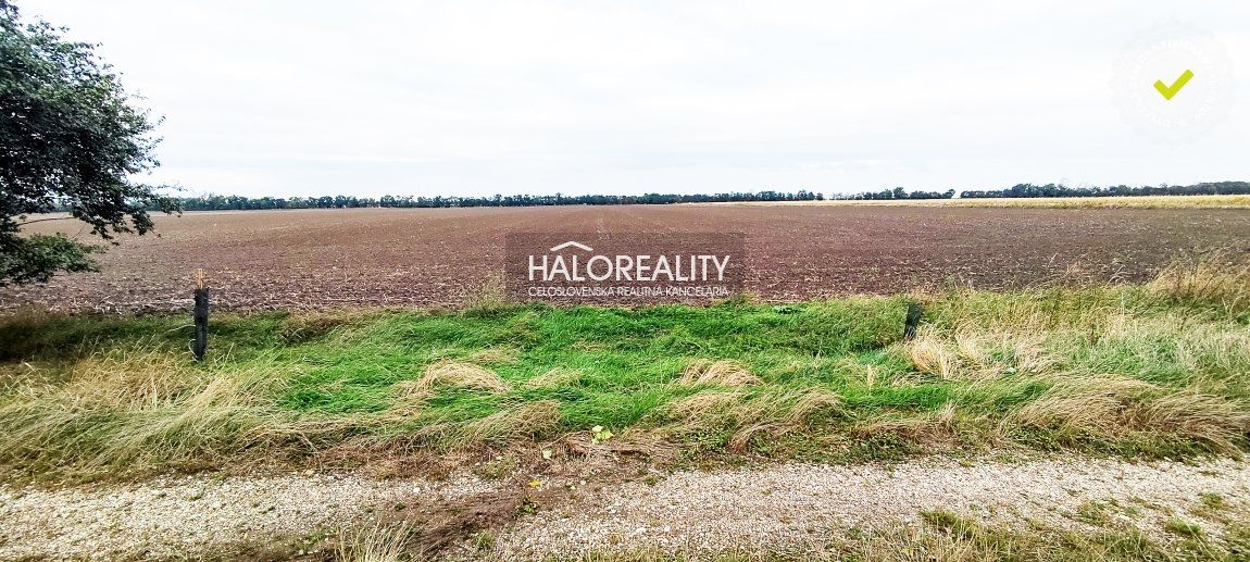 HALO reality - Predaj, orná pôda 5765 m2 Kalinkovo - EXKLU
