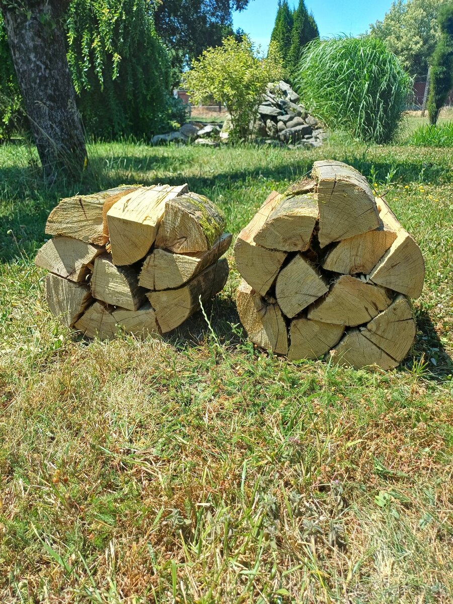 Palivove drevo