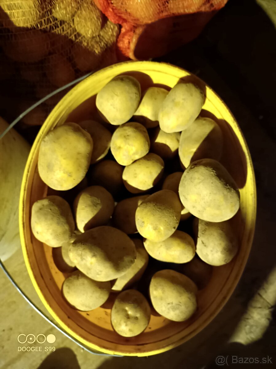 predám zemiaky Soraya