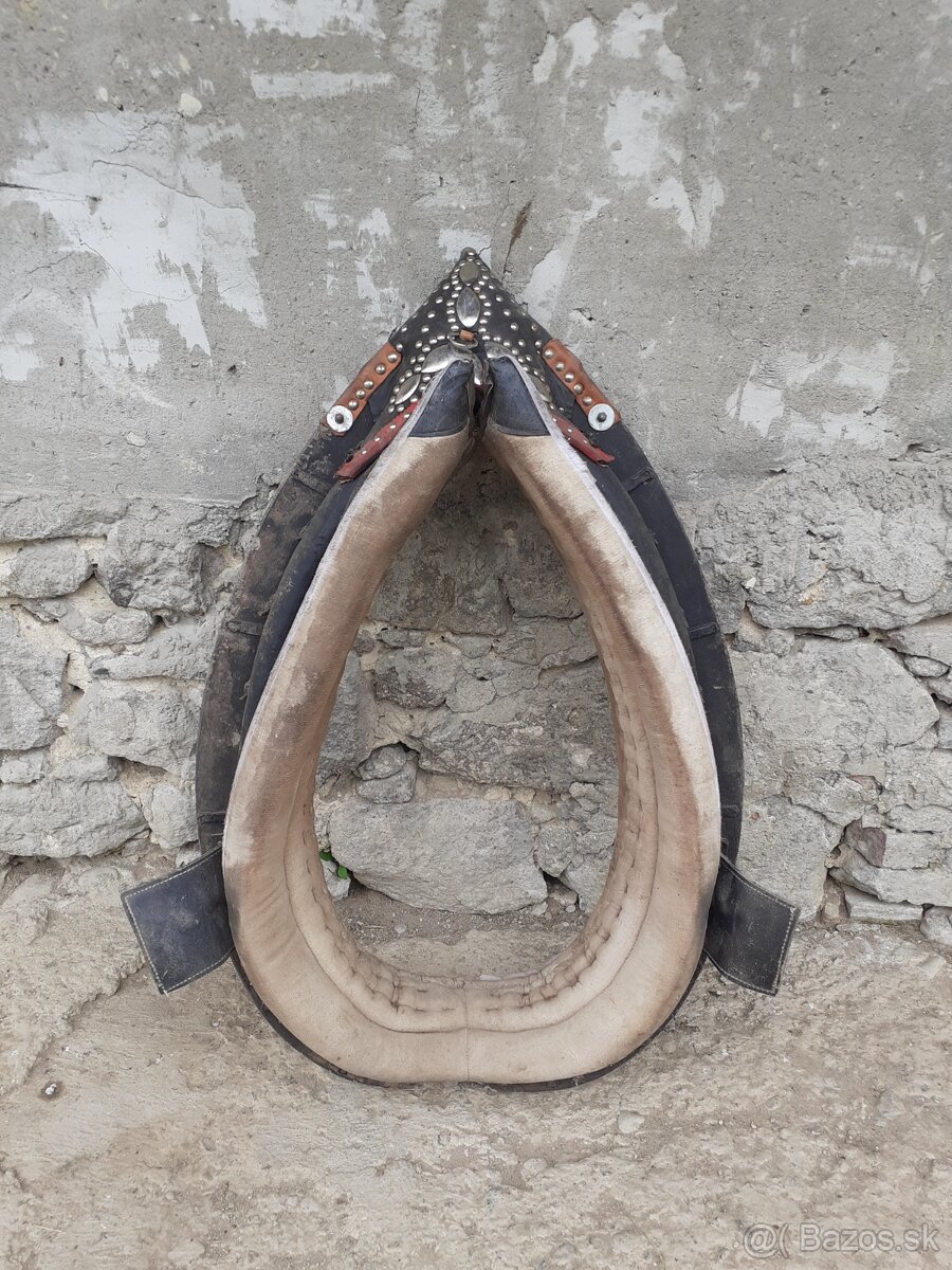 Chomut