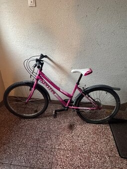 Bicykel Kenzel ružový