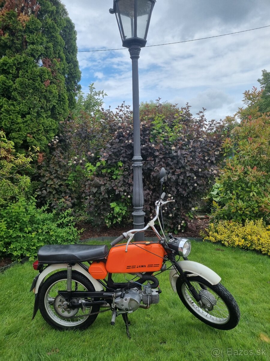 Jawa mustang