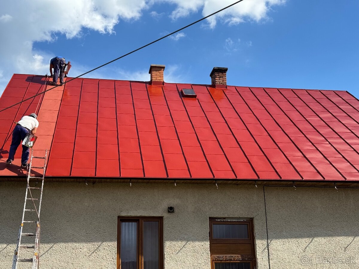 ✅🏠 Náter striech, Náteranie striech, Maľovanie