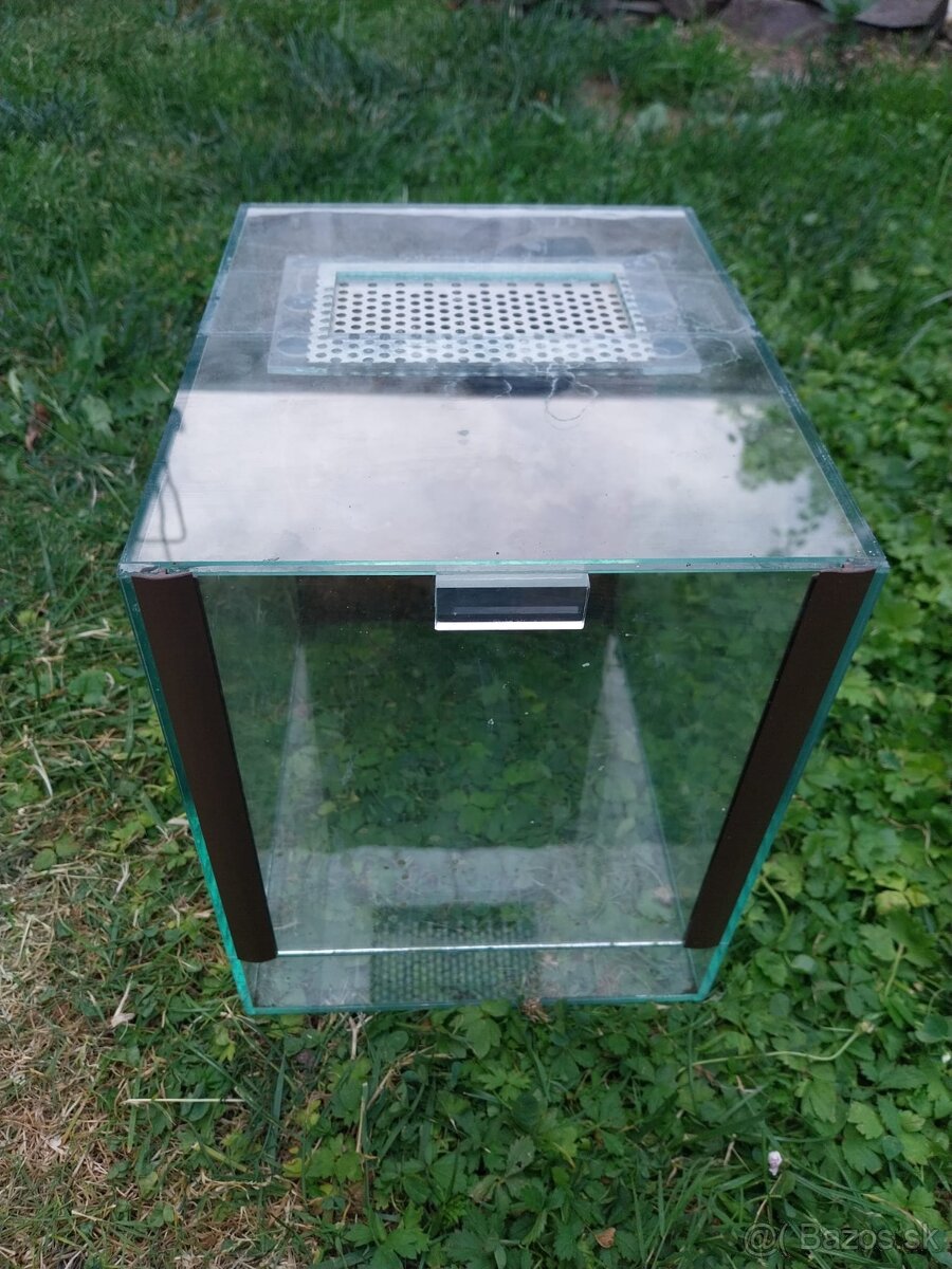 Terárium