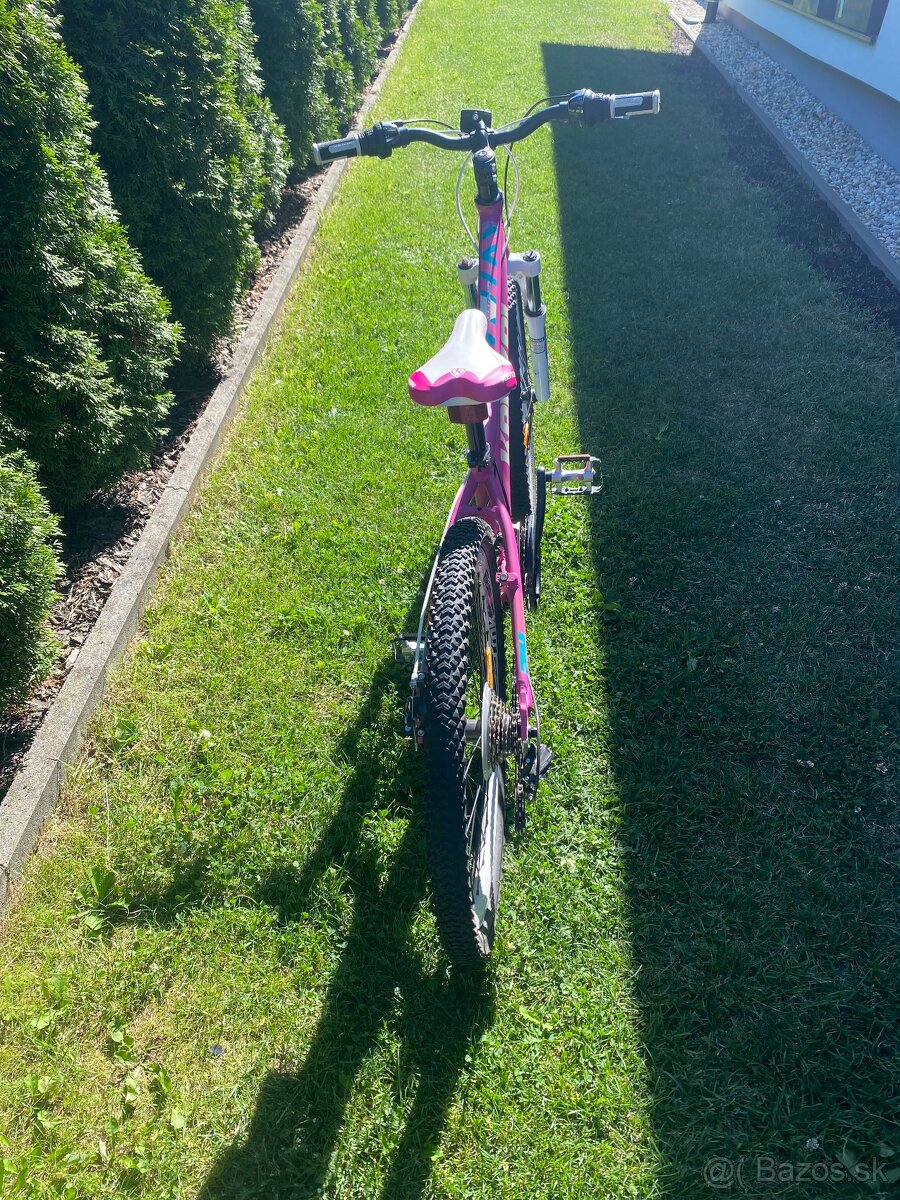 Bicykel