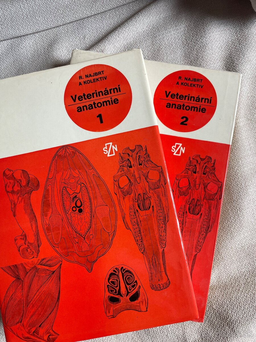 Darujem - veterinarna anatomia