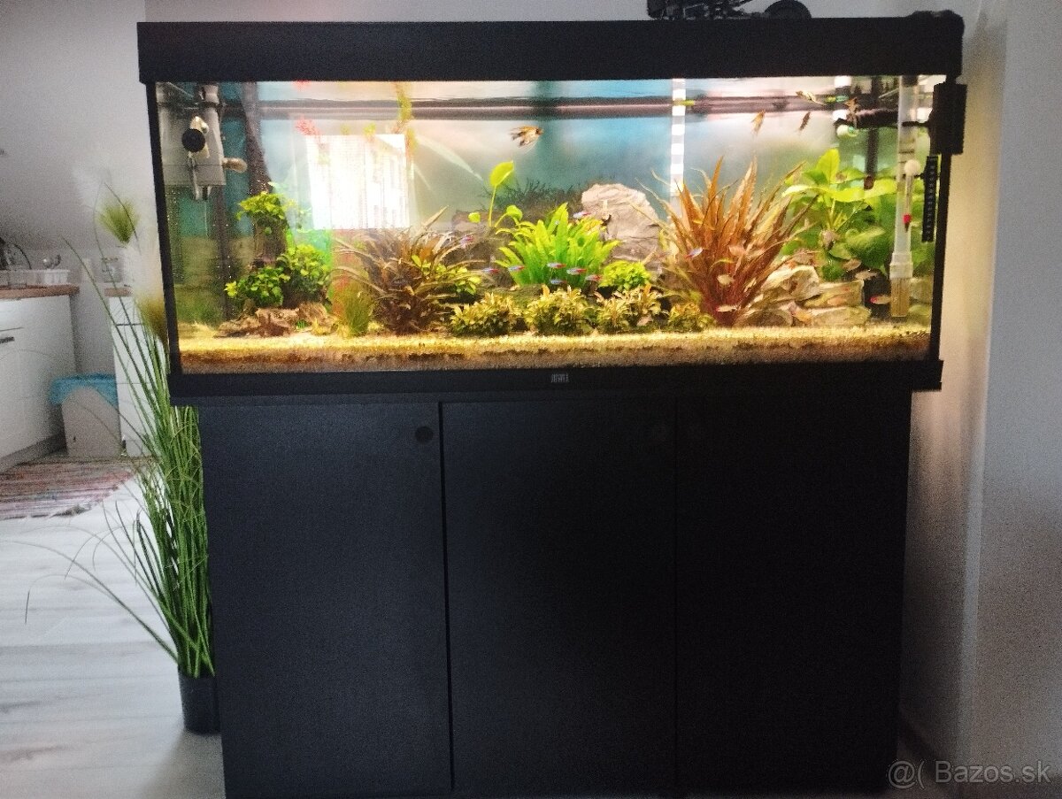 Predam jewelriio 240l