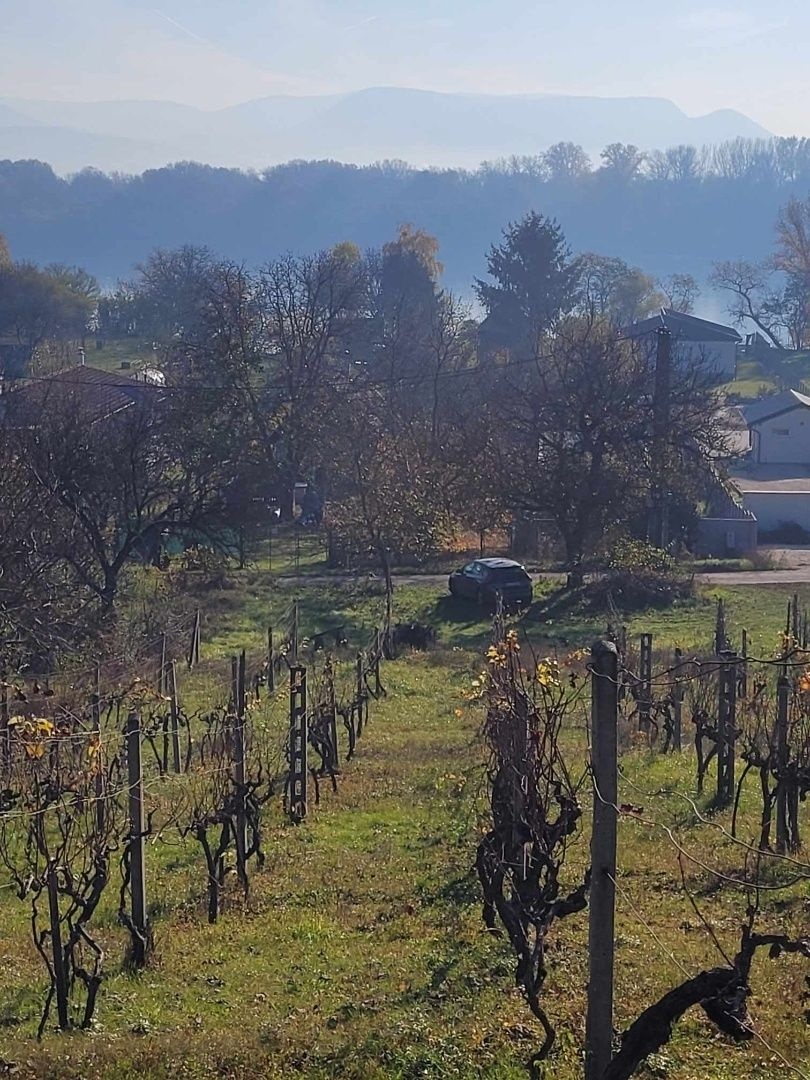 Ponúkame na predaj pozemok na Božom kopci v Štúrove