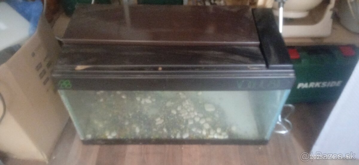predam akvarium