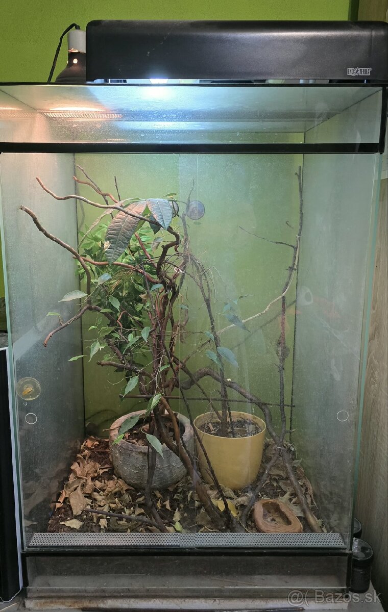 Predam terraria pre chameleona