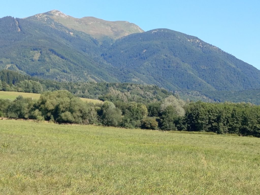 TURANY - časť TRUSALOVÁ  ,rekreačný pozemok 1187m2 oproti  M