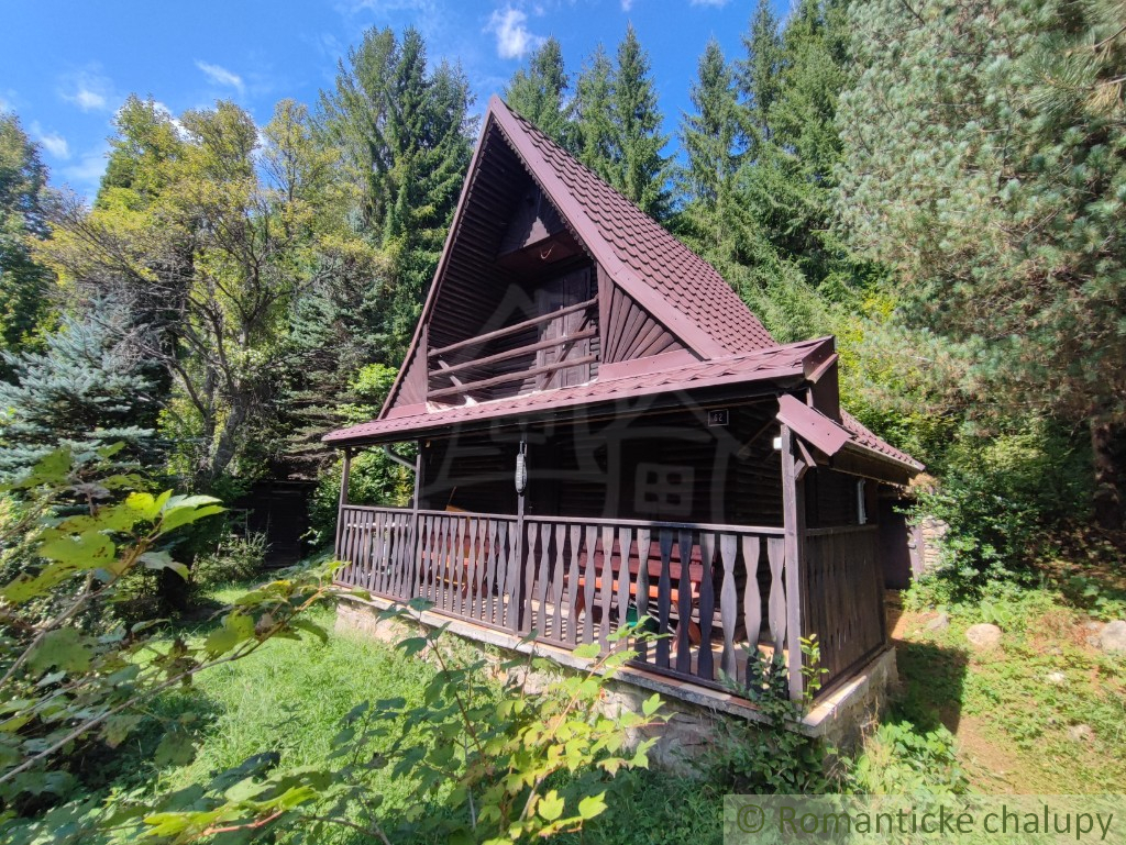 Chata uprostred lesa neďaleko viacerých lyžiarskych stredí